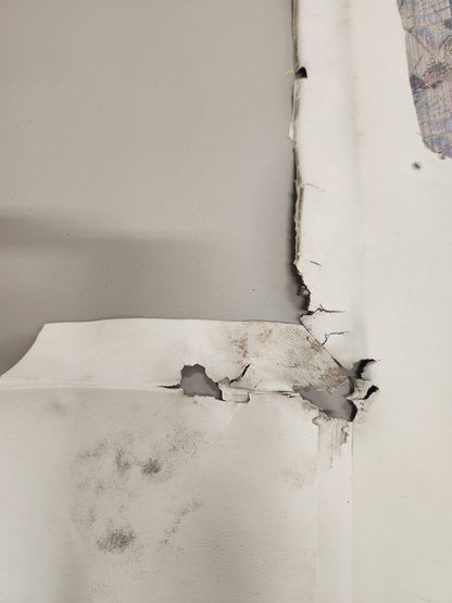 5014028 - 2 Cessna HEADLINER - RH W/ WIRES AND RETAINERS | FractionAIR Parts - Aircraft Parts & Accessories